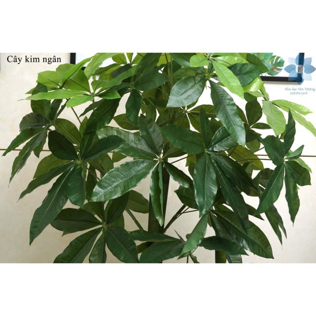Cây giả - cây kim ngân cao 1,5m decor siêu chảnh