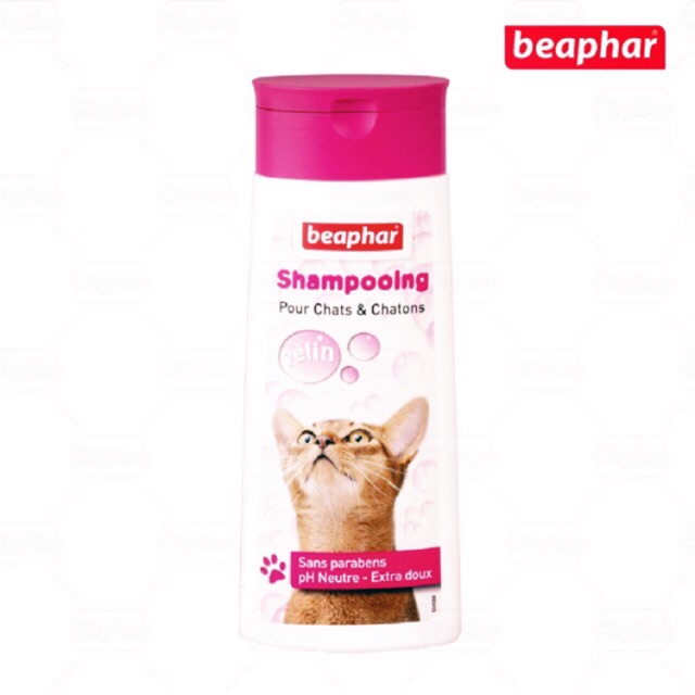 SỮA TẮM CHO MÈO BEAPHAR SHAMPOO BUBBLE CAT 250ml