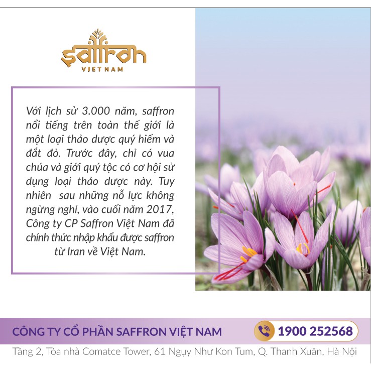 Cẩm nang hướng dẫn sử dụng, công dụng saffron nhụy hoa nghệ tây - bản gốc của Saffron Việt Nam