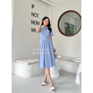 Set bộ kẻ xanh cổ sen