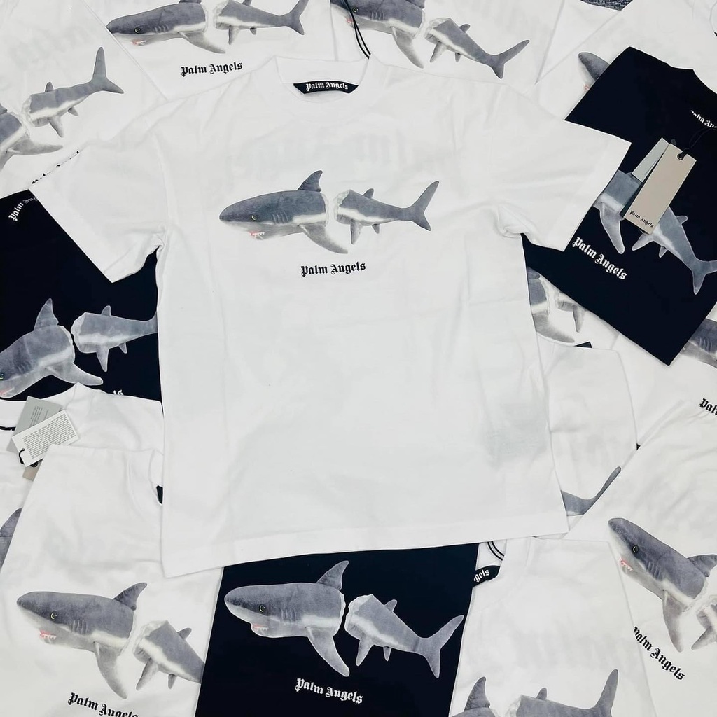 Set bộ quần đùi áo thun cho bé họa tiết cá mập Paml Angel vải cotton mềm mịn, thoáng mát – Sammy_VN