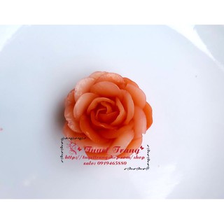 Khuôn hoa hồng Trắng