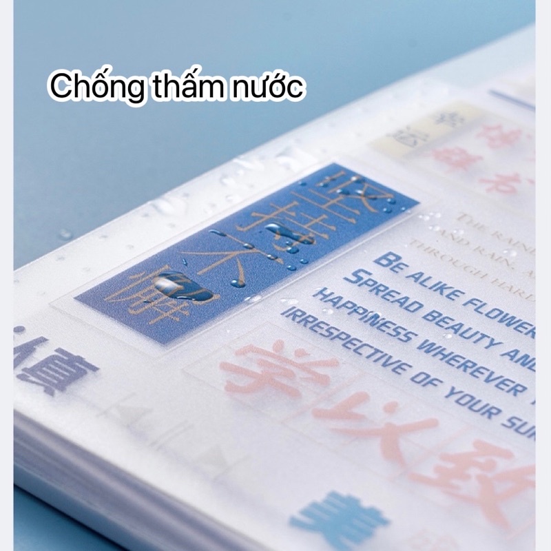 Túi đựng tài liệu A4 dạng 8 12 ngăn Béo shop cặp bằng nhựa dẻo cặp bảo quản file tài liệu hồ sơ tiện dụng