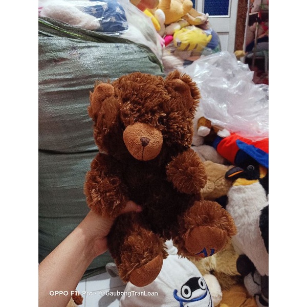 Gấu bông teddy size 40_50cm