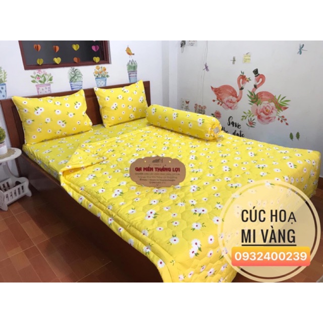 Drap Thắng lợi 1m6