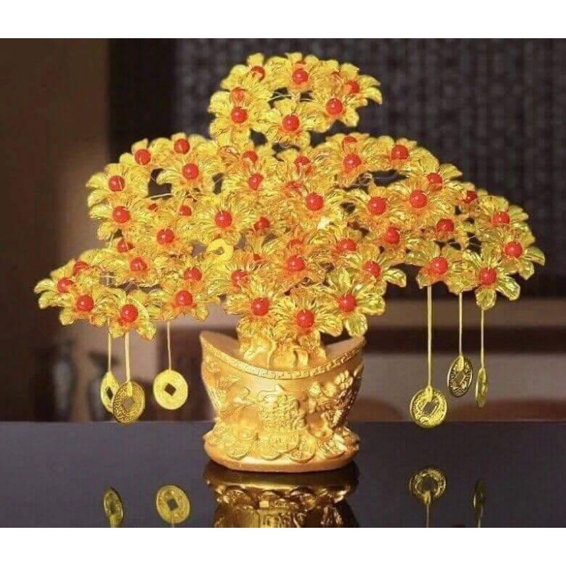 ❤️❤️Cây kim tiền phát tài