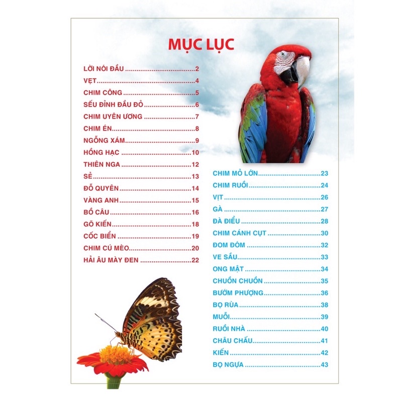 Sách - Atlas Động Vật - Thế Giới Các Loài Chim, Côn Trùng