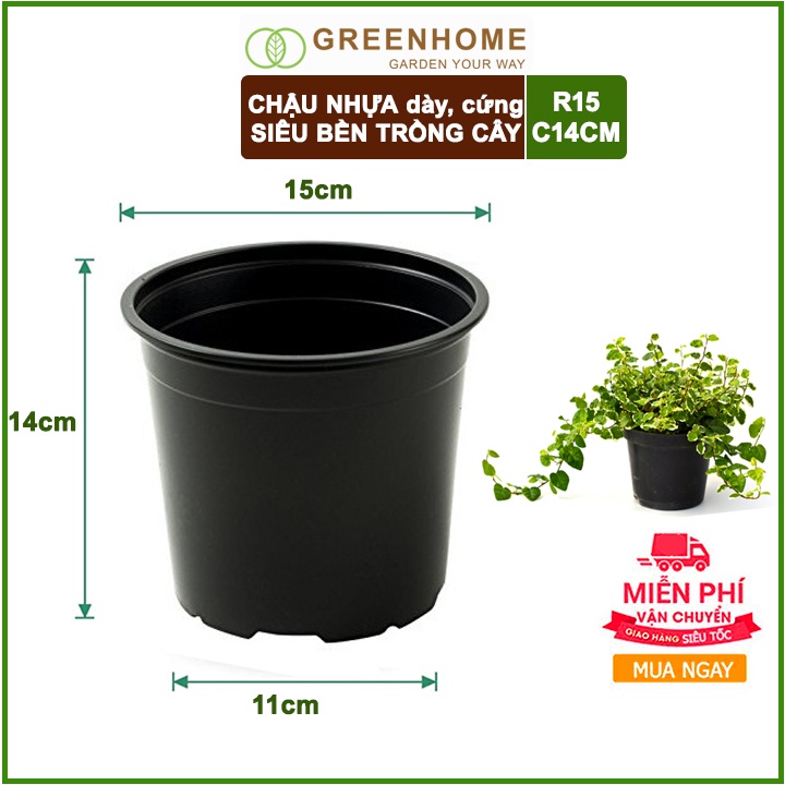 Bộ 3 Chậu nhựa trồng cây, 14x15cm, nhựa cứng, thoát nước tốt, đa dạng kích thước trồng cây, hoa, kiểng lá |Greenhome