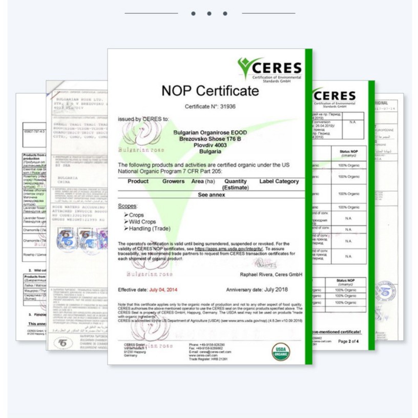 300 ML Toner, Nước Hoa Hồng Tinh Khiết Giúp Cân Bằng PH, Se Khít Lỗ Chân Lông Fenyi Rose Face Toner Moisturizing | BigBuy360 - bigbuy360.vn