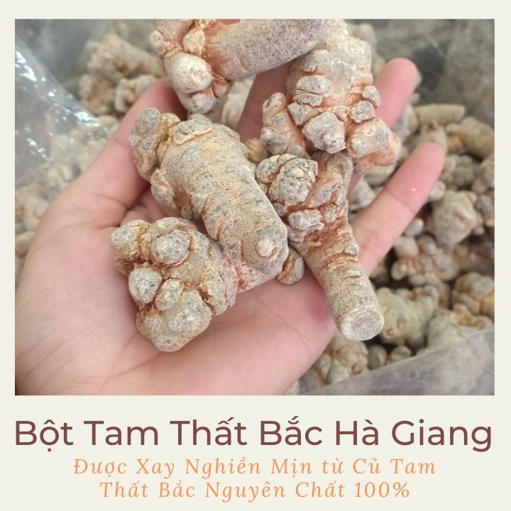 Bột Tam Thất Bắc Hà Giang Hàng Chuẩn, Bột Tam Thất Bắc Khô Nguyên Chất Túi 100G