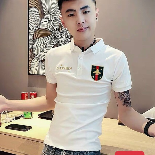 .8 mẫu áo thun nam THÊU có cổ cao cấp hàn quốc thời trang nhất 2020 bao đẹp chất lượng y hình 100%.( bao đổi trả ) | BigBuy360 - bigbuy360.vn