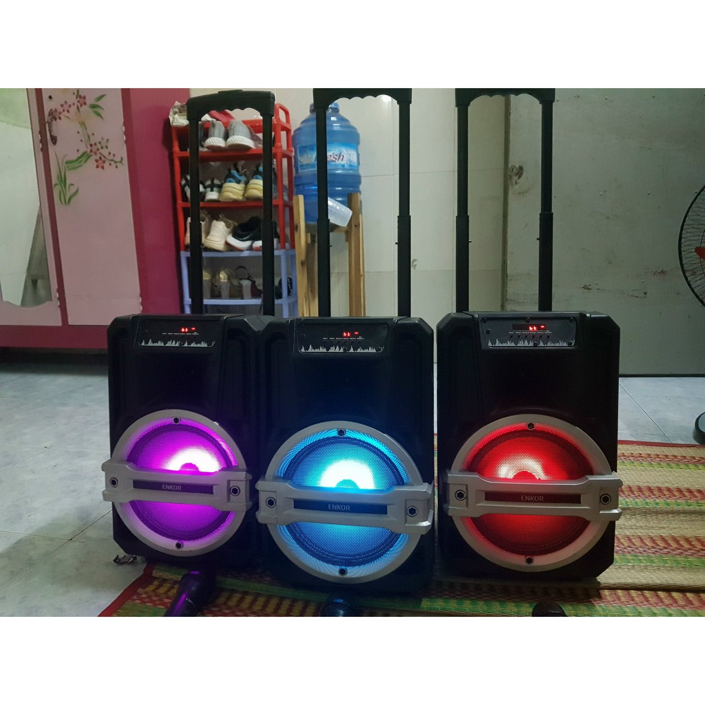 Loa Kéo Karaoke Bluetooth Enkor L0810K Cũ