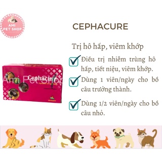 Viên uống Cephacure Vemedim phòng hô hấp, xương khớp cho bồ câu, chim cảnh, gà đá, hộp 100 viên
