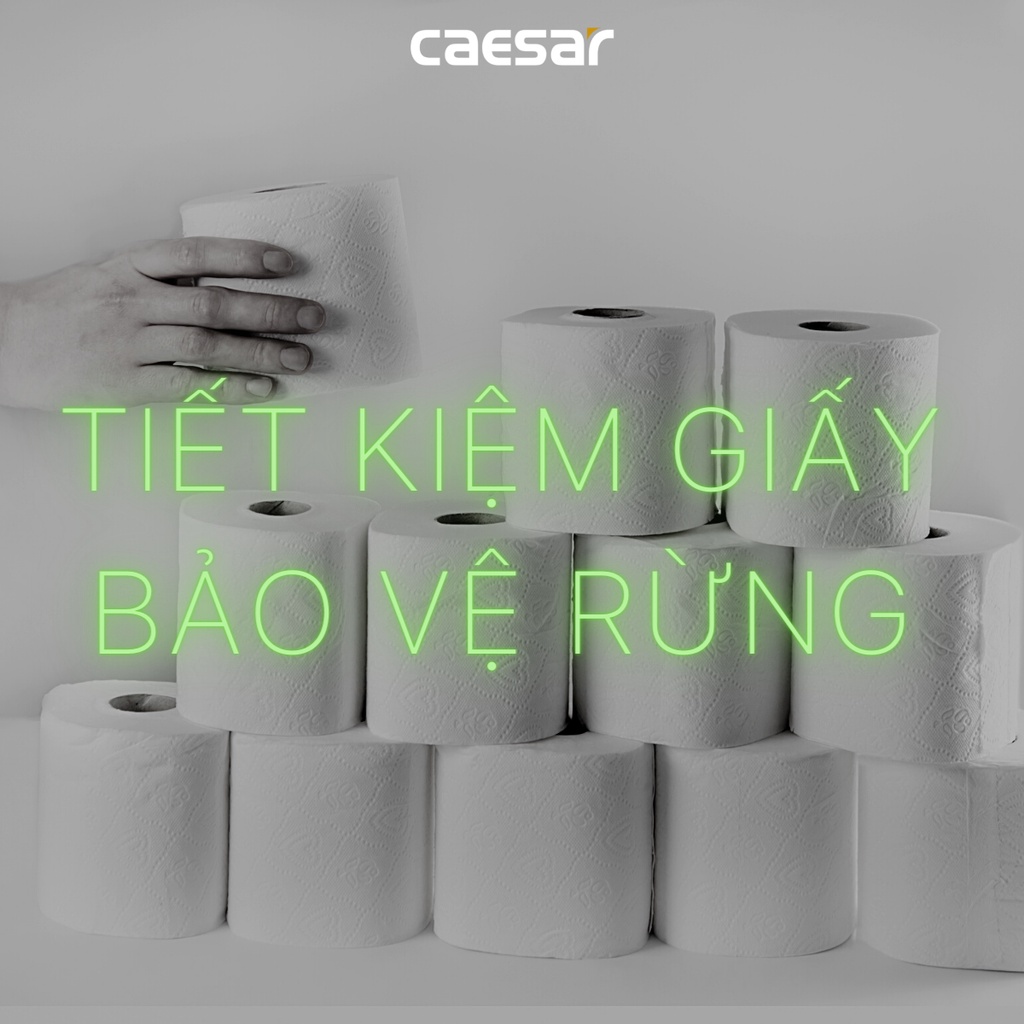 [Caesar] Hộp giấy vệ sinh lớn H108 cho nhà vệ sinh công cộng, chất liệu nhựa ABS cao cấp, mặt mica trong, có khóa hộp