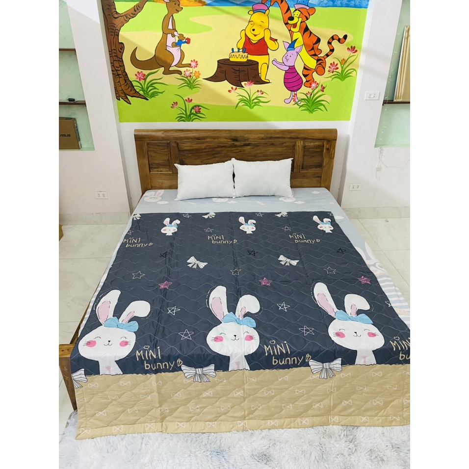 Chăn Hè Cotton Poly Mềm Mịn Trần Bông 3 Lớp