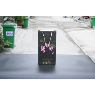 25 cái - Túi giấy đựng rượu đựng quà tặng tết nước trái cây hộp chivas 2 chai rượu vang - Đen -  Mẫu số 21
