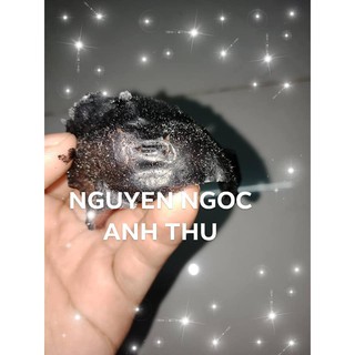 GEL HÚT MỤN THAN TRE POPOKI