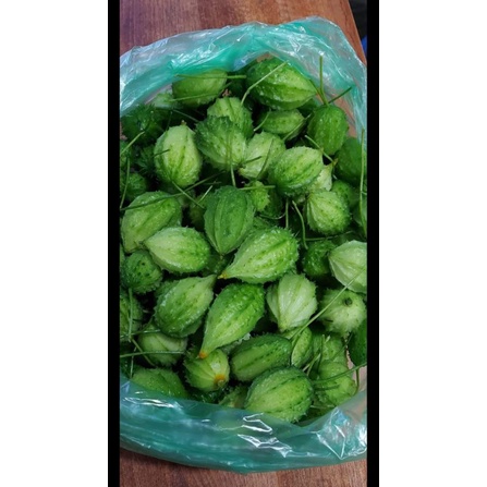 Hạt Giống Mướp Đắng Rừng 20 Hạt
