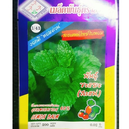 Hạt giống rau húng bạc hà (Húng lủi, Bạc hà tây) nhập thái lan nguyên gói (0.02gr ~ 200 hat)