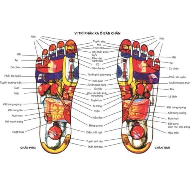 Cao Xoa Bóp Huyệt Bàn Chân (tốt cho người tê thấp khớp) Thái Lan