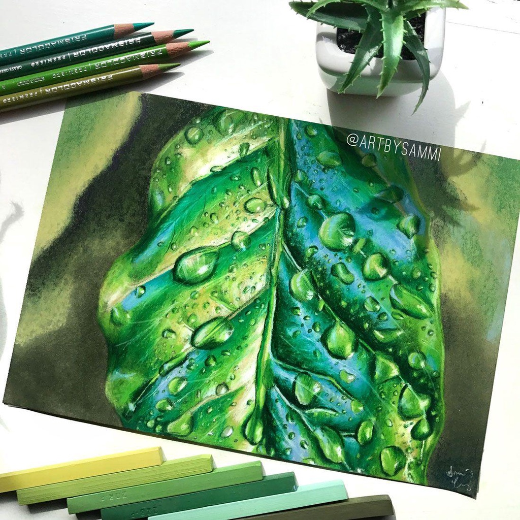 - Bút chì màu PRISMACOLOR Premier Soft Core - Tone Xanh Lá