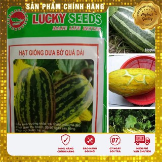 HẠT GIỐNG DƯA BỞ QUẢ DÀI LUCKY SEEDS (10GR )