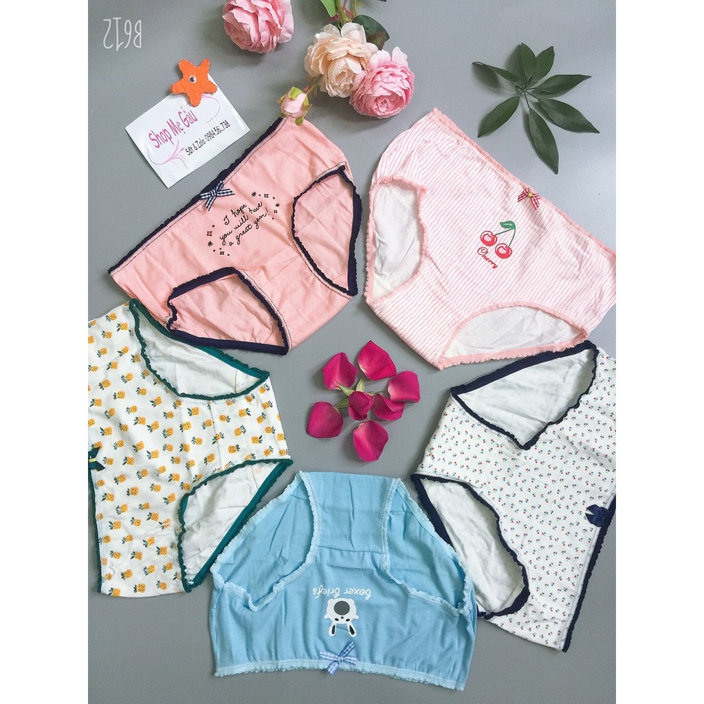 Set 5 quần lót nữ kute cotton thoáng mát mềm mịn QL38