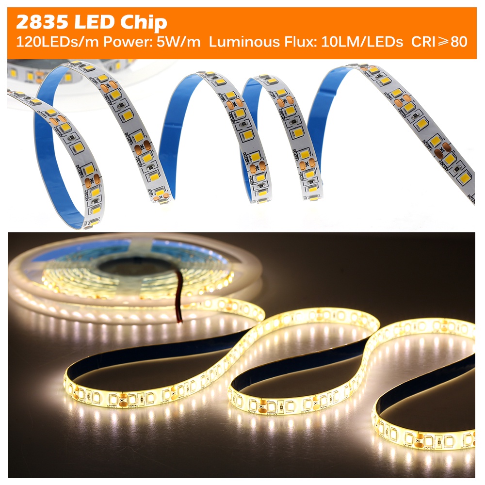 5M LED Strip Light 2835 SMD Flexible Light Strip 12V Waterproof Diode Tape Warm White Cold White Blue Green Red Ice Blue Pink