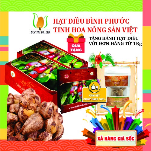 HỘP HẠT ĐIỀU 6 MÓN  🍁 SALE SỐC 🍁 HẠT ĐIỀU BÌNH PHƯỚC 🌺ĂN NGON BÉO GIÒN🌺 TỐT CHO SỨC KHỎE | BigBuy360 - bigbuy360.vn