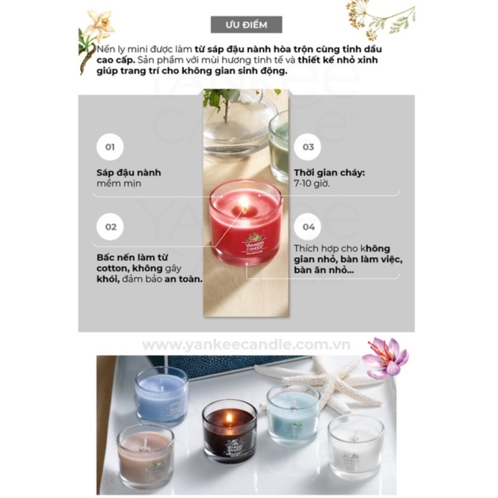 Nến ly mini Yankee Candle - Balsam &amp; Cedar (37g)