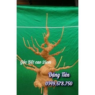 Gốc cây bonsai thân nâu BS1 làm hoa kẽm nhung, hoa đá...