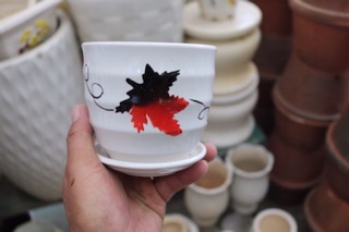 Chậu Sứ trồng cây