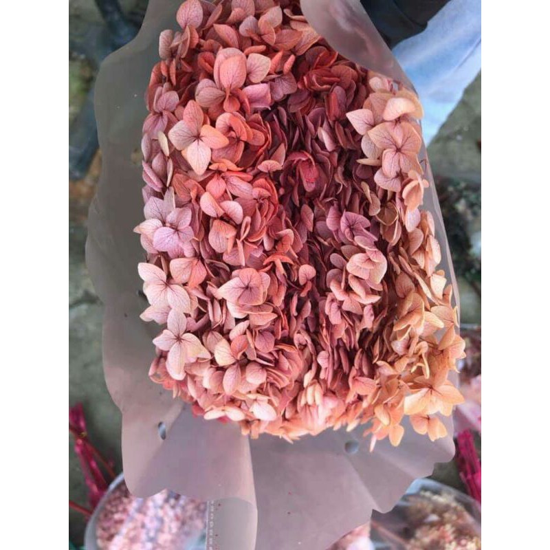 Hoa khô cẩm tú cầu trang trí resin, nail hoặc makeup..handmade( set gói như hình ở phân loại hàng)