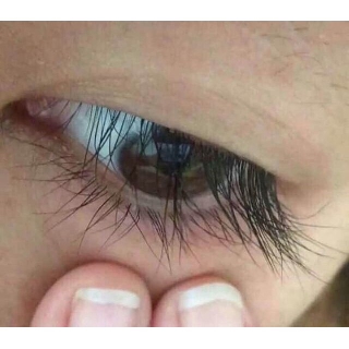 Mascara dầu dừa