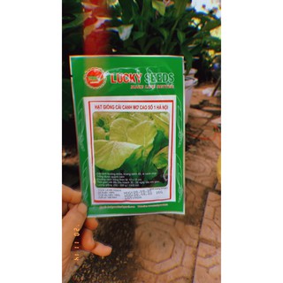 Hạt giống rau cải mơ