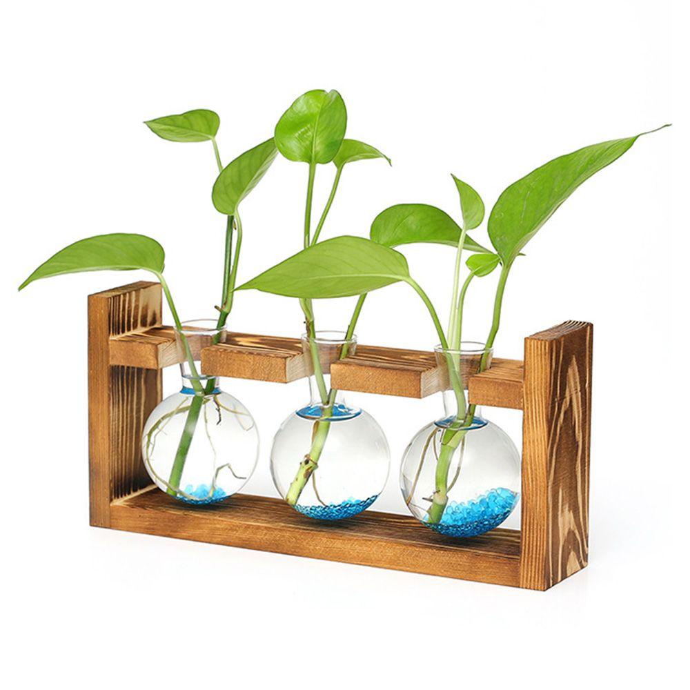 Chậu Hoa Thủy Canh Trong Suốt Khung Gỗ Dùng Trang Trí Văn Phòng