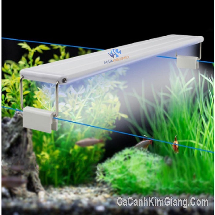 Đèn led 20,30,40,50,60,80cm,1m  bể cá  ULTRATHIN LED LIGHT Xuan Mei Long phù hợp với hồ cá thủy sinh 20cm,30cm