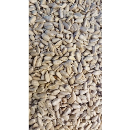 [Mã PET50K giảm Giảm 10% - Tối đa 50K đơn từ 250K] Nhân hướng dương tươi hàng Bỉ dành cho chim vẹt