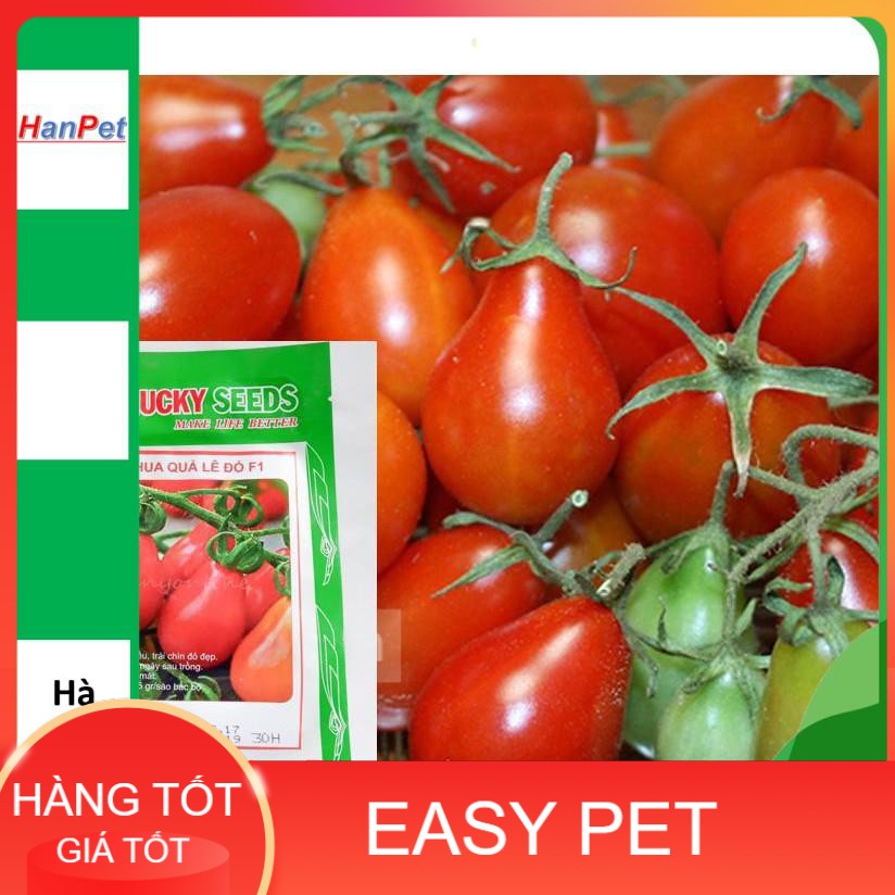 HN-(VƯỜN TRONG NHÀ) Hạt giống Cà chua hình lê (loại dài màu đỏ) Combo 30 hạt phù hợp khí hậu nhiệt đới-HP1002