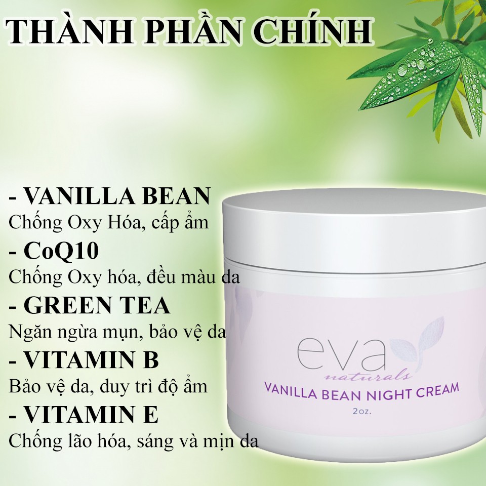Kem Dưỡng Ẩm, Chống Lão Hóa Ban Đêm Eva Naturals Vanilla Bean Night Cream 60ml