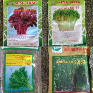 Hạt giống rau mầm các loại