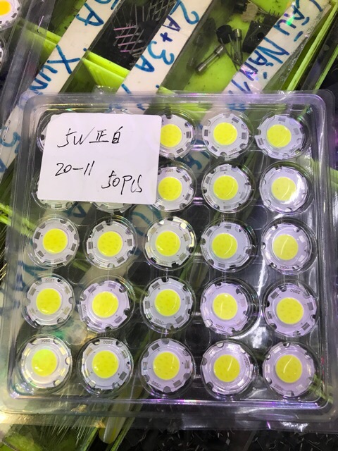 Set 5Nhân led COB 15V-5W