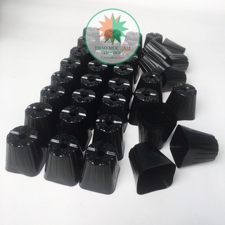 Set 200 Chậu ươm 7.5cm chuẩn Nhật – Chậu ươm cây con, cây giống làm vườn