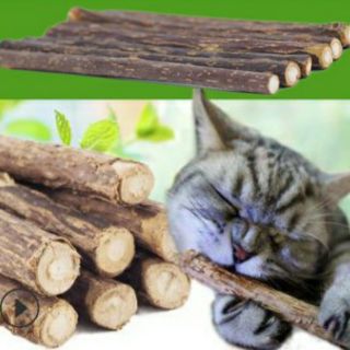 Que thần kì cho mèo nhai giúp thư giãn vui vẻ và hạnh phúc