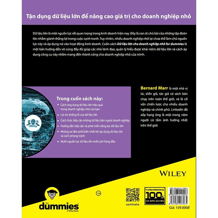 Sách - Dữ liệu lớn cho doanh nghiệp nhỏ for dummies Tặng Bookmark