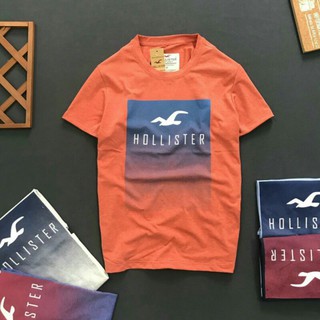 ÁO THUN NAM HOLISTER (NHIỀU MÀU)