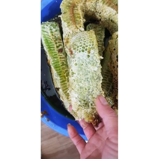 Sỉ 5 chai (5lít)Mật Ong Bạc Hà