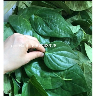 lá trầu không tươi 500g