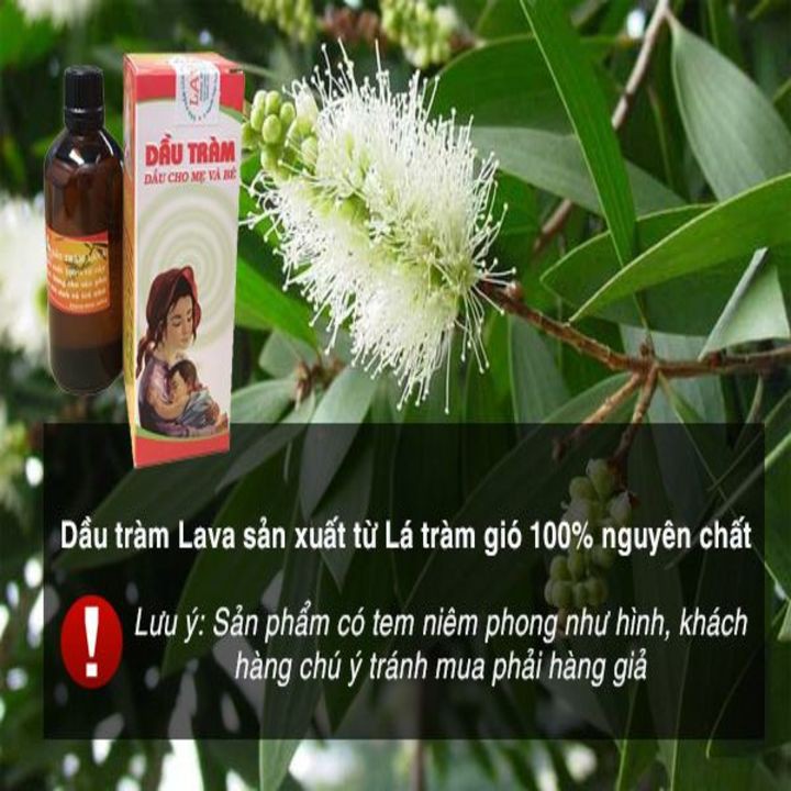 Dầu tràm LAVA 100ML nguyên chất hương nhẹ dịu chuyên dùng cho TRẺ SƠ SINH phòng tránh cảm lạnh cho bé