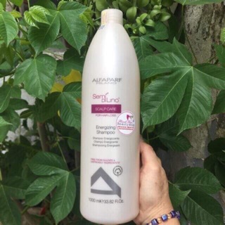Dầu gội chống rụng tóc Alfaparf Milano Scalp Care 1000ml